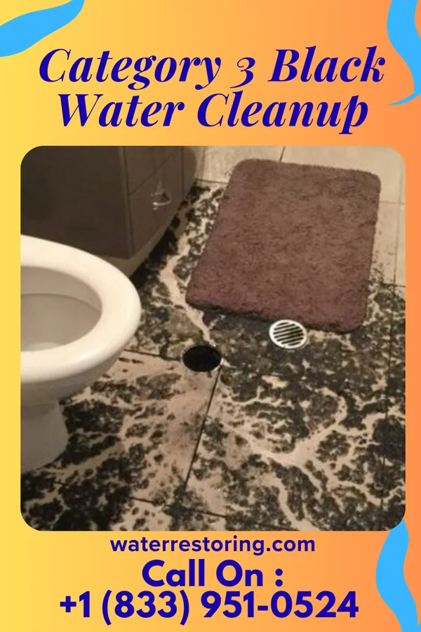 Category 3 Black Water Cleanup in Ballenger Creek, MD
