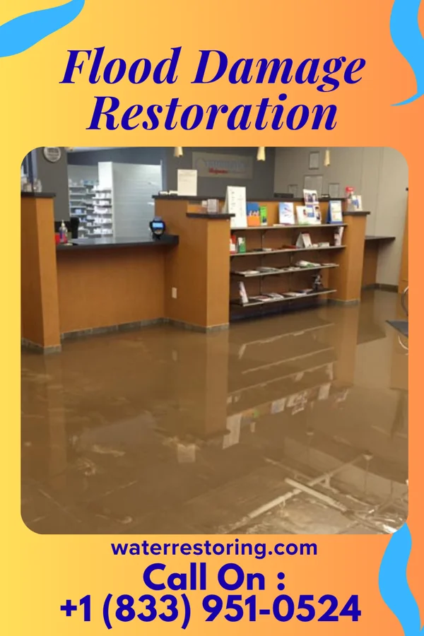 Flood Damage Restoration in Ballenger Creek, MD