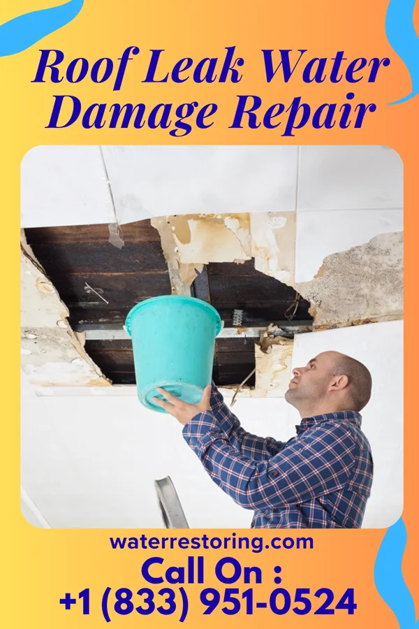 Roof Leak Water Damage Repair in Ballenger Creek, MD