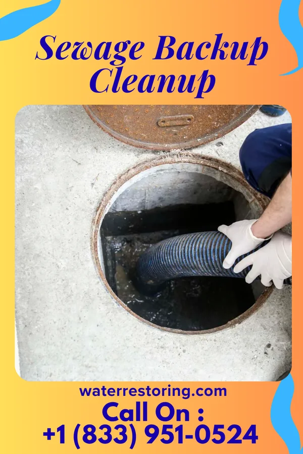 Sewage Backup Cleanup in Ballenger Creek, MD