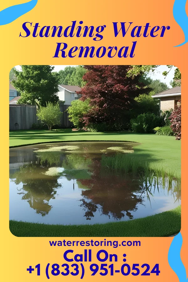 Standing Water Removal in Ballenger Creek, MD